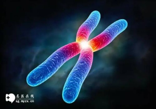 怀孕能吃榴莲吗,怀孕期间的饮食要忌口吗
