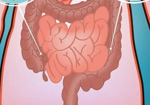 垂体六项正常值是多少,女性怎么进行垂体检查方法
