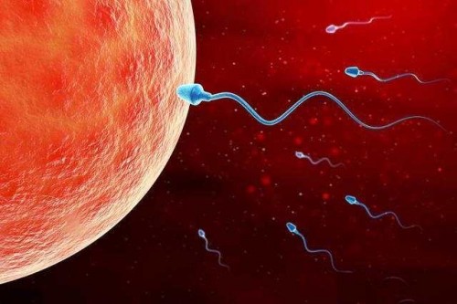 2023鸡西人民医院试管婴儿成功怀孩子策略，助孕成功率多少